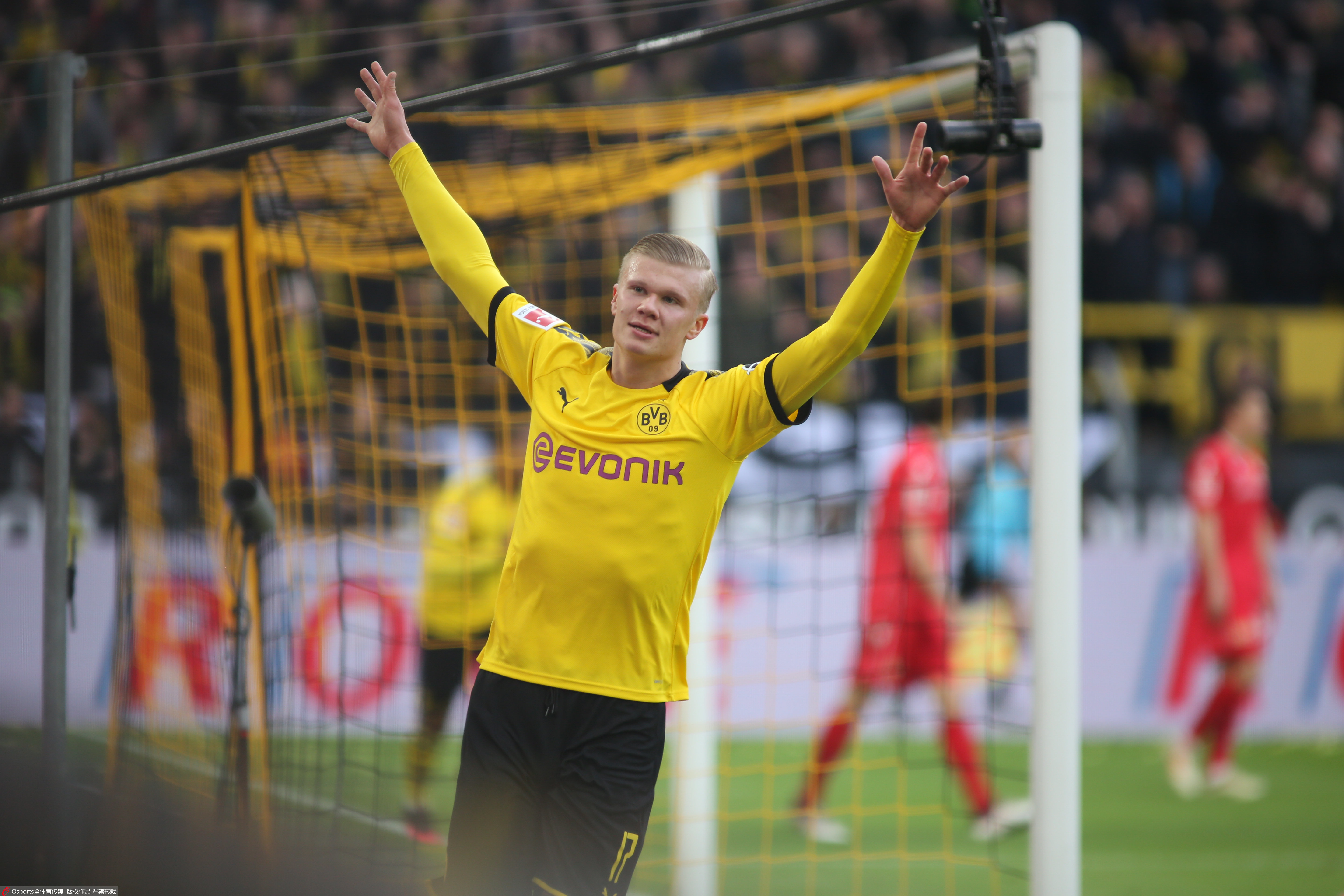 的每一处细 的每一处细